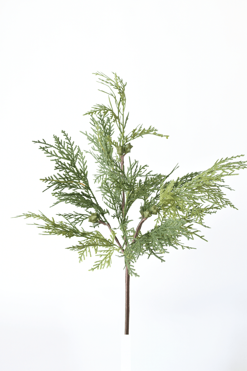 16" Faux Cedar with Pod Stem