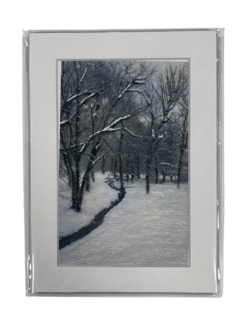 Trish McFerran Encaustic Print Art P229-1