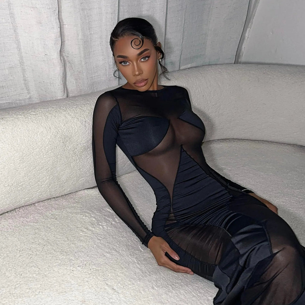 Siena Long Sleeve Mesh Maxi Dress