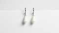 Phoebe Shell Earrings